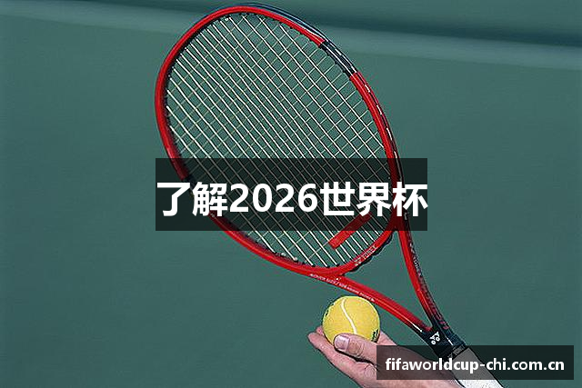 了解2026世界杯